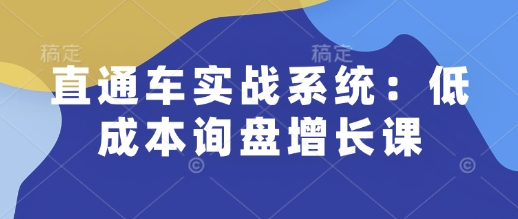 直通车实战系统:低成本询盘增长课,让个人通过技能实现升职加薪,让企业低成本获客,订单源源不断|淘骐网赚资源库