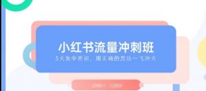 小红书流量冲刺班2025，最懂小红书的女人，快速教你2025年入局小红书|淘骐网赚资源库