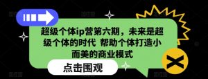 超级个体ip营第六期,未来是超级个体的时代 帮助个体打造小而美的商业模式|淘骐网赚资源库