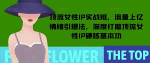 顶流女性IP实战班,流量上亿情绪引爆法,深度打磨顶流女性IP硬核基本功|淘骐网赚资源库