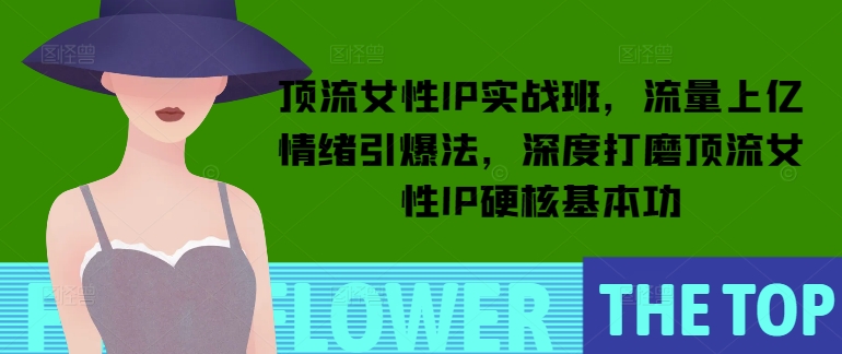 顶流女性IP实战班,流量上亿情绪引爆法,深度打磨顶流女性IP硬核基本功|淘骐网赚资源库