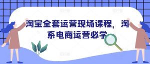 淘宝全套运营现场课程,淘系电商运营必学|淘骐网赚资源库