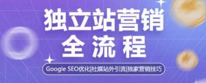独立站营销全流程，Google SEO优化，社媒站外引流，独家营销技巧|淘骐网赚资源库