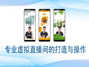 个人虚拟直播间的搭建与操作，专业虚拟直播间的打造与操作|淘骐网赚资源库