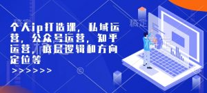 个人ip打造课，私域运营，公众号运营，知乎运营，底层逻辑和方向定位等|淘骐网赚资源库