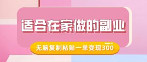 适合在家做的副业,小红书冷知识账号,无脑复制粘贴一单变现300|淘骐网赚资源库