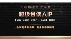 互联网项目天花板，超级合伙人IP，全网都在割韭菜，我来教你做镰刀【仅揭秘】|淘骐网赚资源库