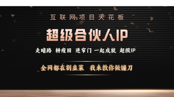 互联网项目天花板,超级合伙人IP,全网都在割韭菜,我来教你做镰刀【仅揭秘】|淘骐网赚资源库