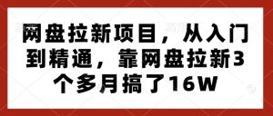 网盘拉新项目,从入门到精通,靠网盘拉新3个多月搞了16W|淘骐网赚资源库