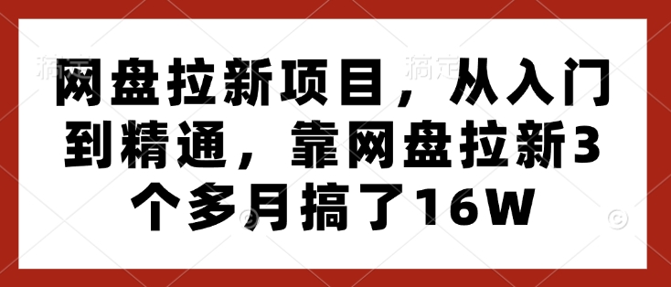 网盘拉新项目,从入门到精通,靠网盘拉新3个多月搞了16W|淘骐网赚资源库
