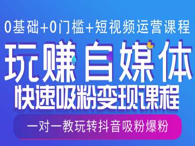 0基础+0门槛+短视频运营课程，玩赚自媒体快速吸粉变现课程，一对一教玩转抖音吸粉爆粉|淘骐网赚资源库
