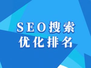 抖音搜索SEO教程,抖音SEO搜索优化排名|淘骐网赚资源库