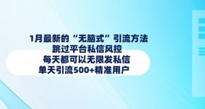 1月最新的无脑式引流方法，跳过平台私信风控，每天都可以无限发私信，单天引流500+精准用户|淘骐网赚资源库