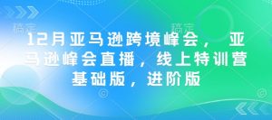 12月亚马逊跨境峰会， 亚马逊峰会直播，线上特训营基础版，进阶版|淘骐网赚资源库