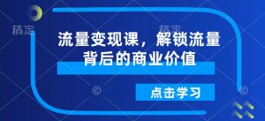 流量变现课,解锁流量背后的商业价值|淘骐网赚资源库