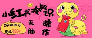 小红书冷知识账号，无脑复制粘贴，5分钟即可变现3张|淘骐网赚资源库