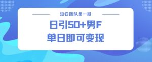 男粉引流新方法不违规，当日即可变现|淘骐网赚资源库