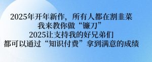 2025年开年新作,所有人都在割韭菜,我来教你做“镰刀” 2025让支持我的好兄弟们都可以通过“知识付费”拿到满意的成绩【揭秘】|淘骐网赚资源库