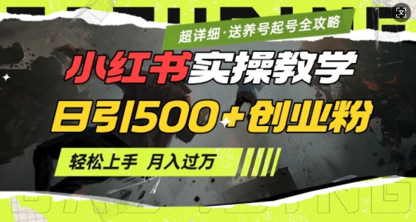2月小红书最新日引500+创业粉实操教学【超详细】小白轻松上手,月入1W+,附小红书养号起号SOP|淘骐网赚资源库