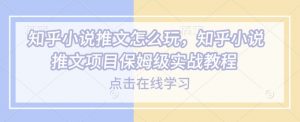 知乎小说推文怎么玩，知乎小说推文项目保姆级实战教程|淘骐网赚资源库