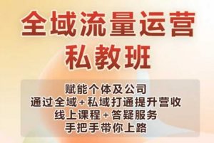全域流量运营操盘课,赋能个体及公司通过全域+私域打通提升营收|淘骐网赚资源库