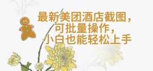 【轻云】最新美团酒店截图，可批量操作，小白也能轻松上手|淘骐网赚资源库