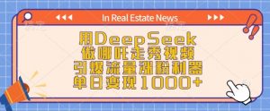 用DeepSeek做哪吒走秀视频,引爆流量涨粉利器,单日变现1k|淘骐网赚资源库