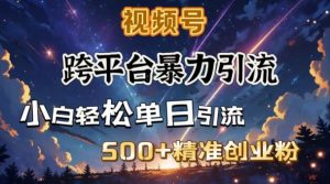 跨平台暴力引流,私域完美闭环,日引500+精准创业粉|淘骐网赚资源库