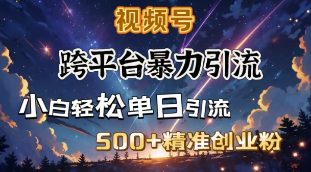 跨平台暴力引流,私域完美闭环,日引500+精准创业粉|淘骐网赚资源库
