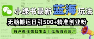 小绿书无脑搬运引流,全自动日引500精准创业粉,微信生态内又一个闷声发财的机会|淘骐网赚资源库