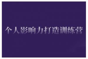 个人影响力打造训练营，掌握公域引流、私域运营、产品定位等核心技能，实现从0到1的个人IP蜕变|淘骐网赚资源库