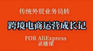 跨境电商速卖通运营课,运营方法论+后台实操,逻辑清晰|淘骐网赚资源库