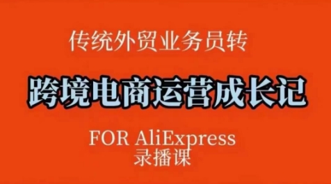 跨境电商速卖通运营课,运营方法论+后台实操,逻辑清晰|淘骐网赚资源库