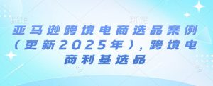亚马逊跨境电商选品案例(更新2025年2月),跨境电商利基选品|淘骐网赚资源库