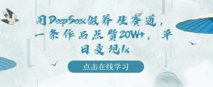 用DeepSeek做养生赛道,一条作品点赞20W+,单日变现1k|淘骐网赚资源库