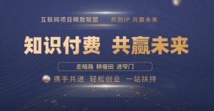 别人苦寻无果,为何他们靠知识付费卖项目 2025 年轻松年入100个?【揭秘】-第一资源库