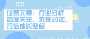 付费文章:行业分析 高度关注,未来20年,万倍成长空间|淘骐网赚资源库