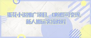 蛋花小说推文项目，0粉即可变现，新人搬运实操教程|淘骐网赚资源库