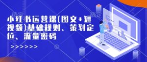 小红书运营课(图文+短视频)基础规则、策划定位、流量密码|淘骐网赚资源库