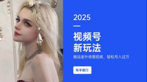 搬运老外奇葩视频,撸视频号分成计划收益,每天只需一小时,新手小白轻松月入过W|淘骐网赚资源库