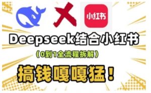 deepseek+小红书打造流量生产线实操课,0到1全流程拆解,搞钱嘎嘎猛|淘骐网赚资源库