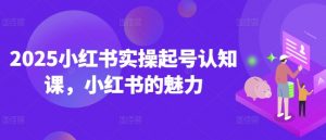 2025小红书实操起号认知课,小红书的魅力|淘骐网赚资源库