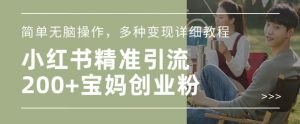 小红书混剪日引200+宝妈创业粉,简单无脑操作,多种变现详细教程|淘骐网赚资源库