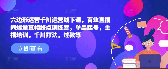 六边形运营千川运营线下课，百业直播间爆量真相终点训练营，单品起号，主播培训，千川打法，过款等|淘骐网赚资源库