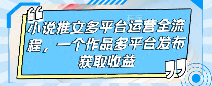 小说推文多平台运营全流程,一个作品多平台发布获取收益|淘骐网赚资源库