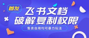 首发飞书文档破解复制权限,售卖自用均可暴力玩法|淘骐网赚资源库