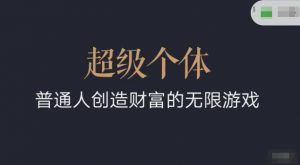 超级个体2024-2025翻盘指南,普通人创造财富的无限游戏|淘骐网赚资源库