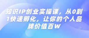 知识IP创业实操课，从0到1快速孵化，让你的个人品牌价值百W|淘骐网赚资源库