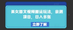 美女图文视频搬运玩法,亲测项目,日入多张|淘骐网赚资源库