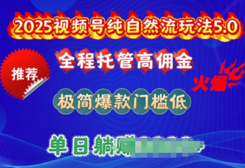 2025视频号纯自然流玩法5.0，全程托管高佣金，极简爆款门槛低，单日收益多张【揭秘】|淘骐网赚资源库